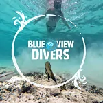 Blue View Divers Logo